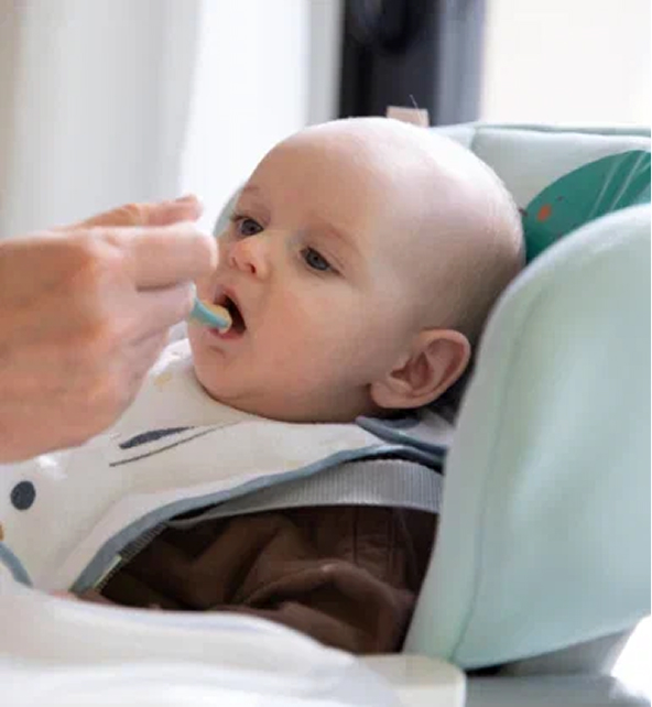 Начинаем прикорм