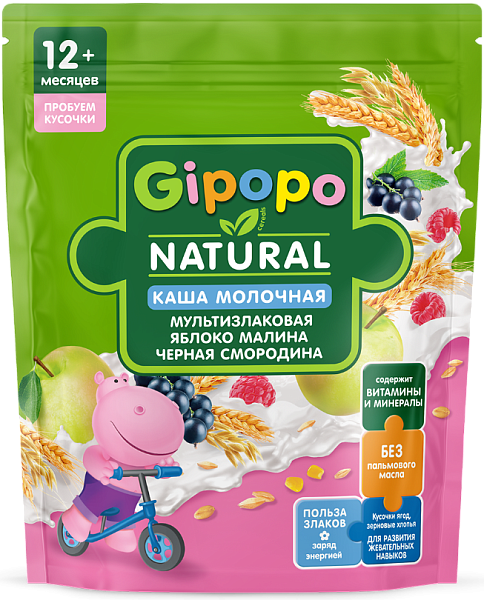 Каша молочная мультизлаковая яблоко, малина, черная смородина